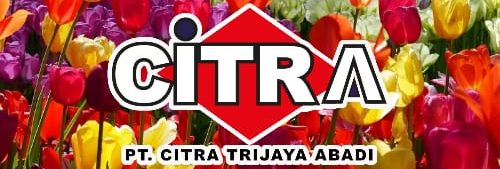PT. CITRA TRIJAYA ABADI